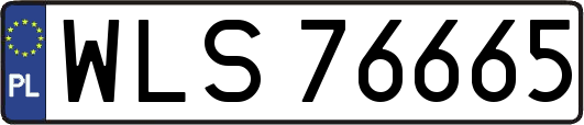 WLS76665