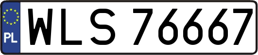 WLS76667