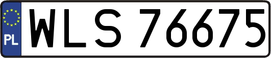 WLS76675