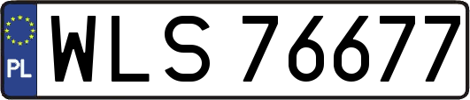 WLS76677