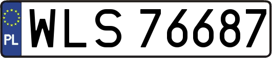 WLS76687