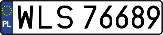 WLS76689