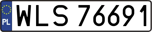 WLS76691