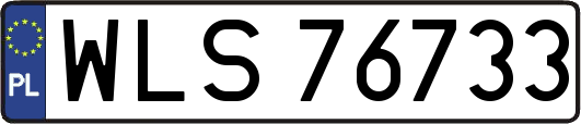 WLS76733