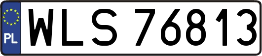 WLS76813