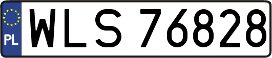 WLS76828