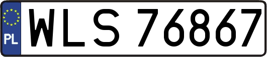 WLS76867