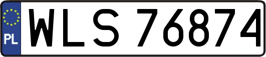 WLS76874