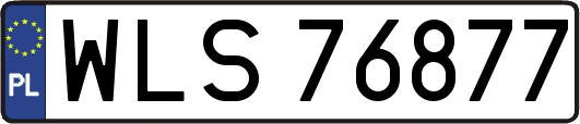 WLS76877