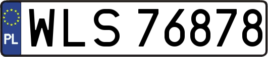 WLS76878