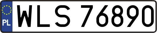 WLS76890