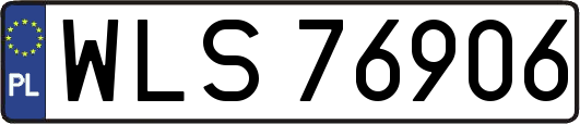 WLS76906