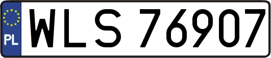 WLS76907