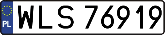 WLS76919