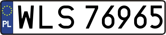 WLS76965
