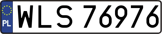 WLS76976