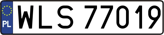 WLS77019