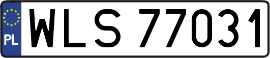 WLS77031