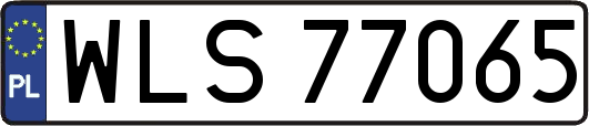 WLS77065