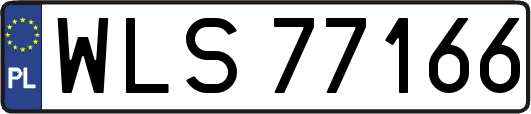 WLS77166