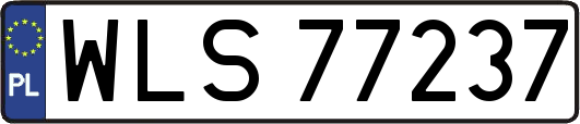WLS77237