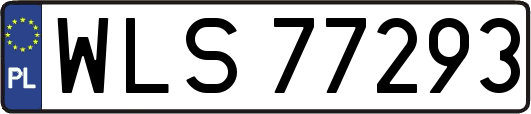 WLS77293