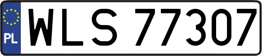 WLS77307