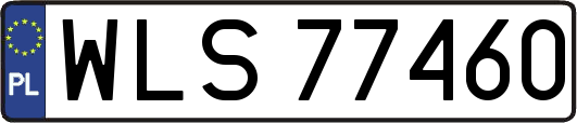 WLS77460