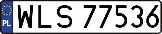 WLS77536