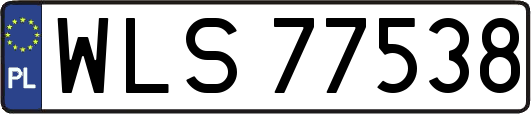 WLS77538