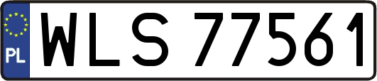 WLS77561