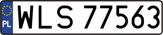 WLS77563