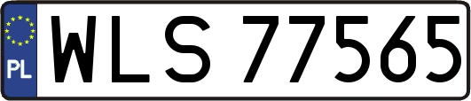 WLS77565