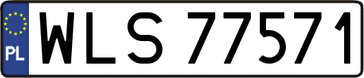 WLS77571