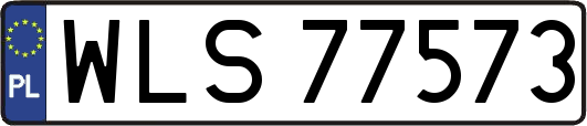 WLS77573
