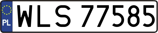WLS77585