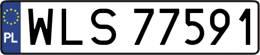 WLS77591