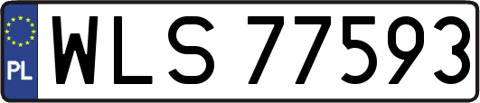 WLS77593