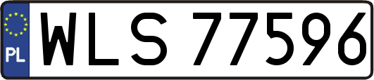 WLS77596