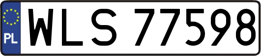 WLS77598