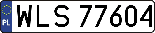 WLS77604