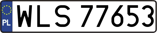 WLS77653