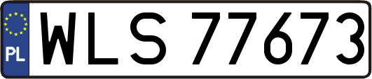 WLS77673