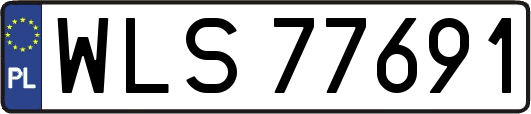 WLS77691