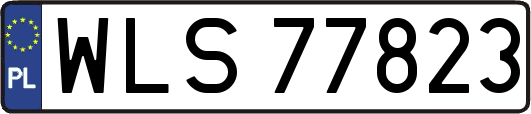 WLS77823