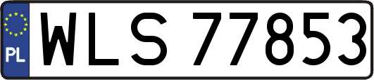 WLS77853