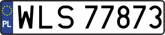 WLS77873