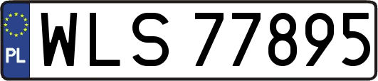 WLS77895