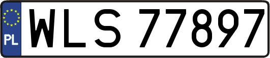 WLS77897