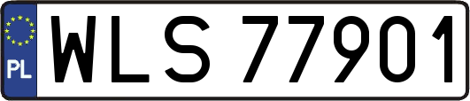 WLS77901